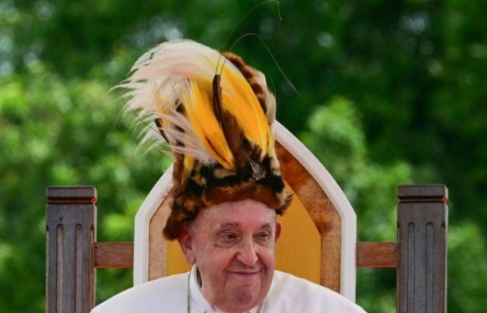 Im
      Dschungel
      von
      Papua-Neuguinea,
      der
      Papst
      „vom
      Ende
      der
      Welt“
      –
      Mein
      Blog