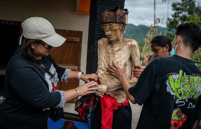 In
      Indonesien
      schmücken
      die
      Torajas
      Leichen,
      um
      sich
      um
      ihre
      Toten
      zu
      kümmern
      –
      Mein
      Blog