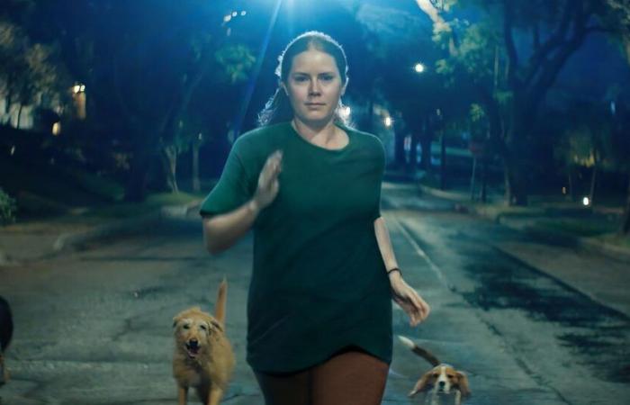 Amy
      Adams‘
      „Nightbitch“
      ist
      mehr
      eine
      Idee
      als
      ein
      Film