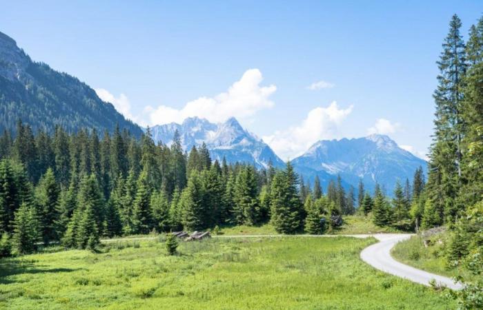 19-jährige
      Frau
      bringt
      in
      den
      Pyrenäen
      auf
      1.700
      m
      Höhe
      ihr
      Kind
      zur
      Welt