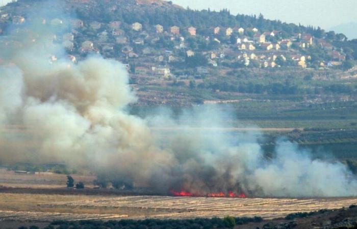 Israelische
      Armee
      führt
      Angriffe
      gegen
      Hisbollah
      im
      Südlibanon
      durch