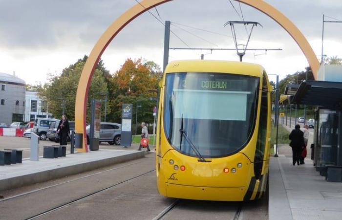 Fahrer
      stirbt
      bei
      Zusammenstoß
      mit
      Straßenbahn,
      weil
      er
      sich
      weigerte,
      der
      Aufforderung
      nachzukommen