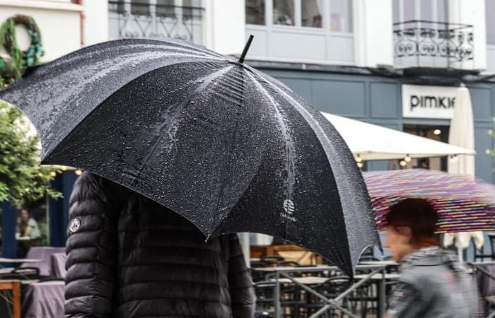 Starke
      Regenfälle
      in
      den
      Alpes-Maritimes,
      Städte
      ergreifen
      Maßnahmen