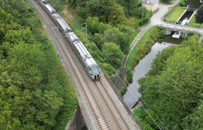 diese
      Experimente
      zur
      Wiederbelebung
      kleiner
      Linien