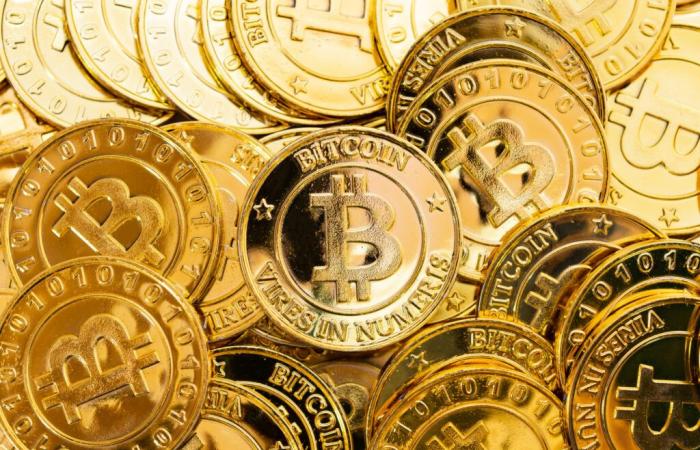 Wo
      wird
      Bitcoin
      in
      10
      Jahren
      stehen?
      –
      Mein
      Blog