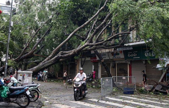 Taifun
      Yagi
      fordert
      in
      Vietnam,
      China
      und
      den
      Philippinen
      Dutzende
      Todesopfer