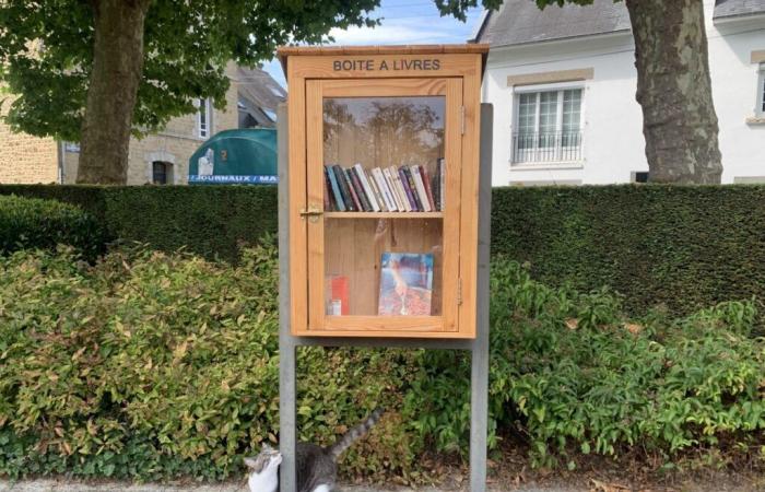 wo
      können
      in
      Fougères
      neue
      Bücherkisten
      aufgestellt
      werden?