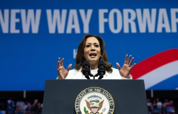 Kamala
      Harris
      auf
      den
      Spuren
      Reagans
      im
      Jahr
      1984
      –
      Mein
      Blog