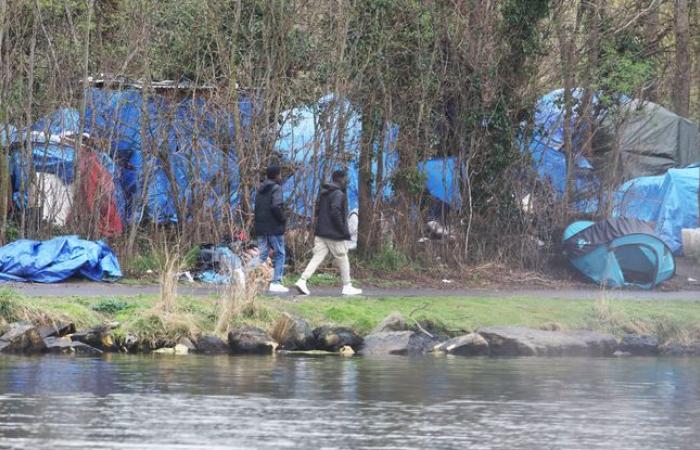 Migranten
      finden
      Zuflucht
      in
      einem
      Wald,
      die
      Polizei
      greift
      ein
      –
      Mein
      Blog