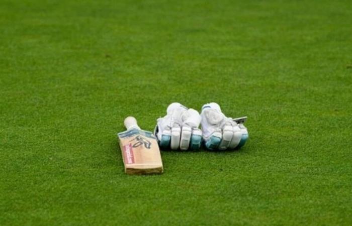 Shahidi
      fordert
      mehr
      Test-Cricket
      und
      einen
      eigenen
      Heimstadion
      für
      Afghanistan
      in
      Indien