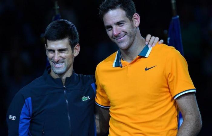 ein
      Djokovic-Del
      Potro-Duell
      in
      einer
      Ausstellung
      in
      Buenos
      Aires