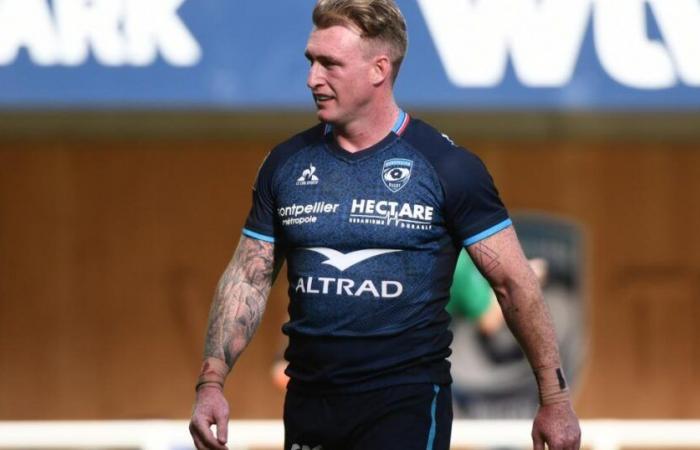 Montpelliers
      Stuart
      Hogg
      fehlt
      gegen
      Perpignan