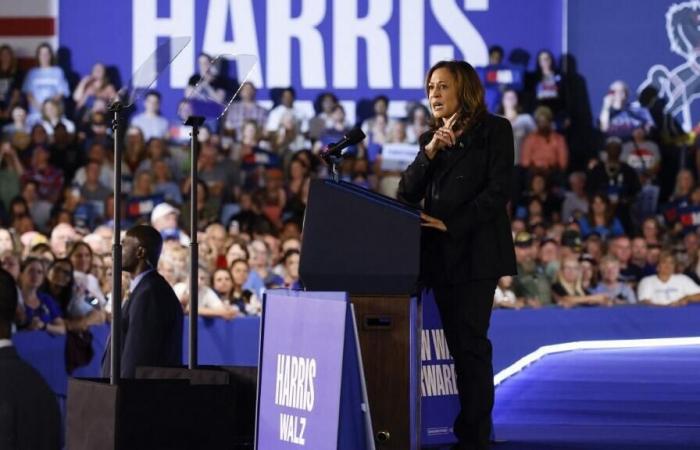 In
      Pennsylvania
      zieht
      Kamala
      Harris
      die
      Massen
      an
      –
      Mein
      Blog