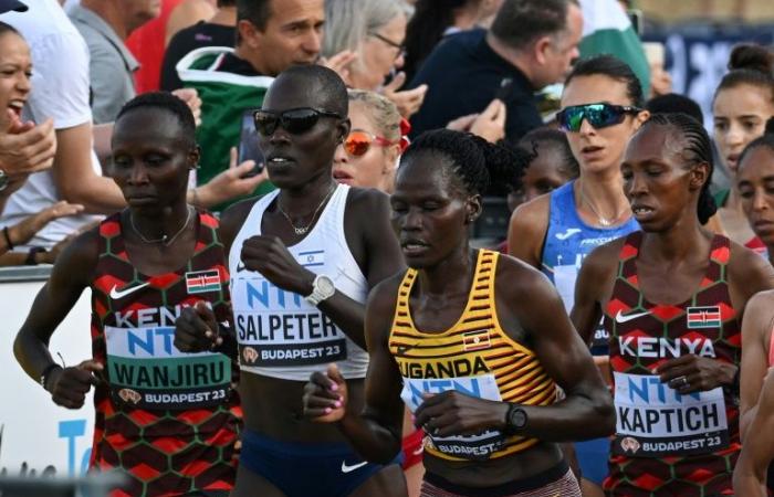 Uganda
      begräbt
      und
      trauert
      um
      die
      Sportlerin
      Rebecca
      Cheptegei,
      Opfer
      eines
      Femizids
      –
      Mein
      Blog