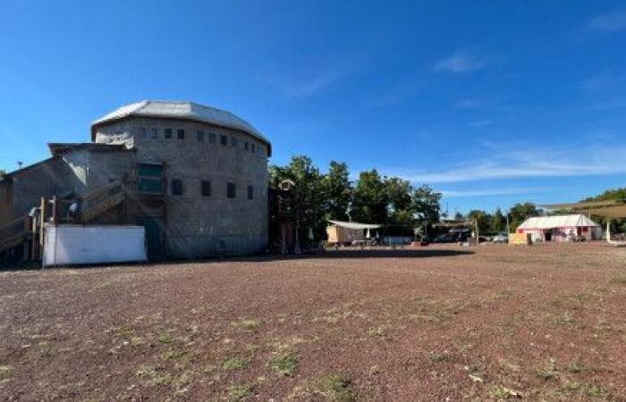 Der
      Wandering
      Tower
      ist
      seit
      5
      Jahren
      zurück