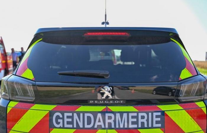 RN-Abgeordneter
      beim
      Fahren
      mit
      seit
      15
      Jahren
      ungültigem
      Führerschein
      erwischt