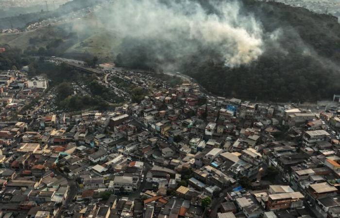 Brasilien
      noch
      immer
      von
      Bränden
      heimgesucht,
      Städte
      Rio
      und
      Sao
      Paulo
      bedroht