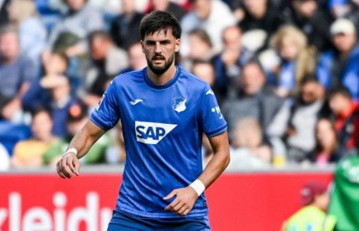 „Haben
      die
      Gegentore
      zu
      leicht
      kassiert“
      »
      TSG
      Hoffenheim