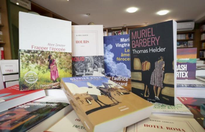 Literarischer Eintrag in Pau: Die Favoriten der Buchhändler