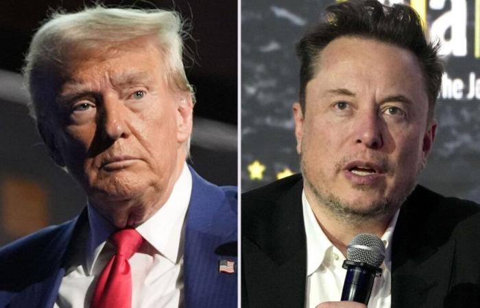 Donald Trump und Elon Musk, zwischen ideologischer Nähe und gemeinsamen Interessen