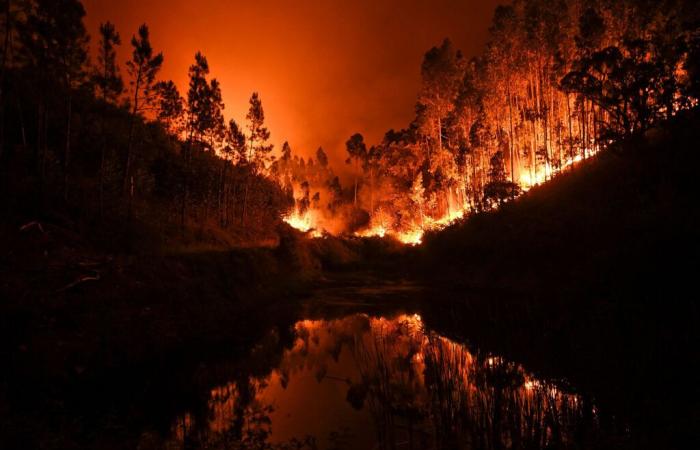 Marokko schickt Portugal Hilfe zur Bekämpfung von Waldbränden