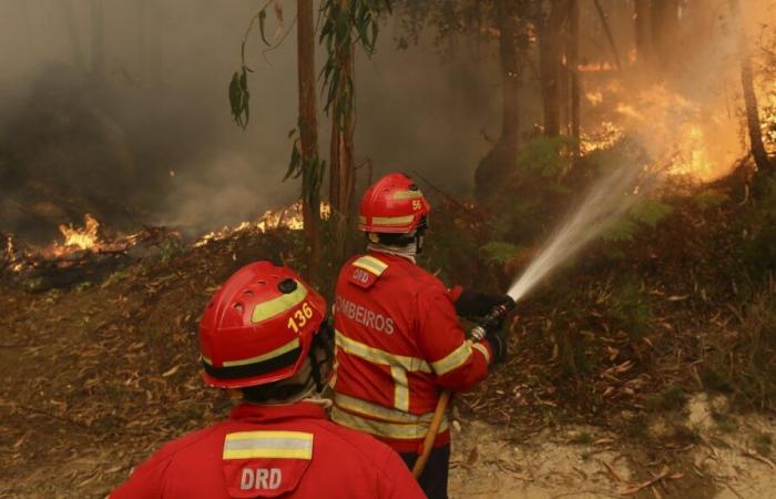 Portugal leidet noch immer unter heftigen Waldbränden