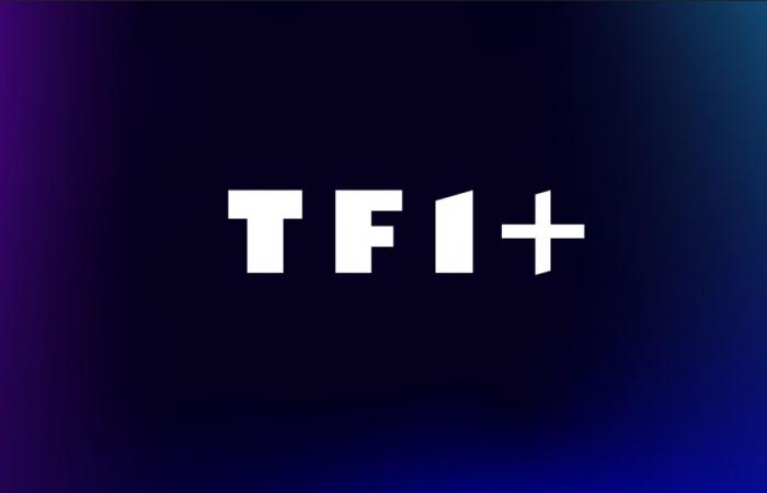 TF1+, kostenlos auf Freebox erhältlich, unterzeichnet einen Vertrag mit Arte und einer amerikanischen Gruppe, um seinen Katalog zu erweitern