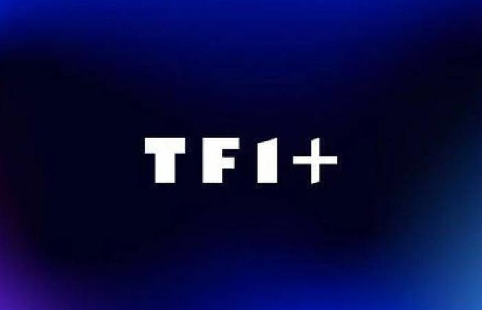 TF1+ wird ab nächstem Monat Arte- und A&E-Inhalte bündeln