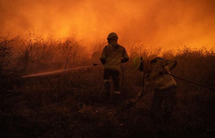 Rund vierzig Waldbrände mobilisieren noch immer 4.000 Feuerwehrleute