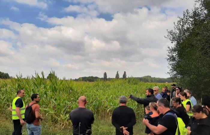 Zwei Tage nach ihrem Verschwinden in der Sarthe kehrte Nathalie erschöpft nach Hause zurück.