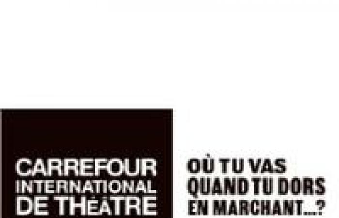 Direktor für Marketing und Partnerschaften | Carrefour international de théâtre