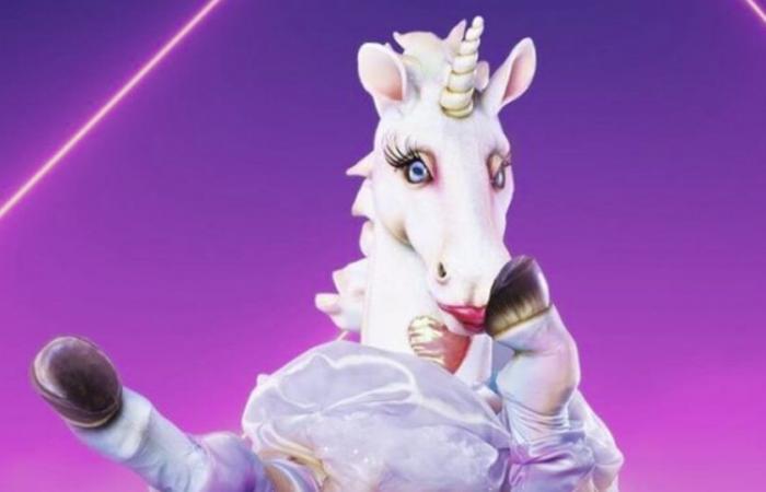 Die Fans von Masked Singer sind sich einig und glauben zu wissen, wer sich unter dem Einhorn verbirgt