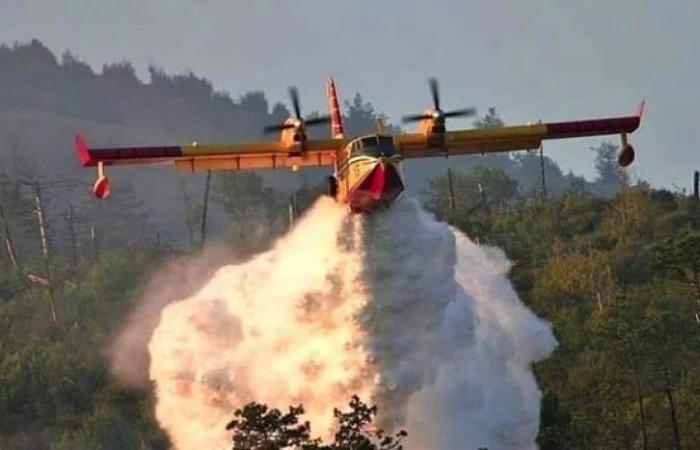 Marokko schickt vier Canadairs nach Portugal, das von tödlichen Waldbränden heimgesucht wird