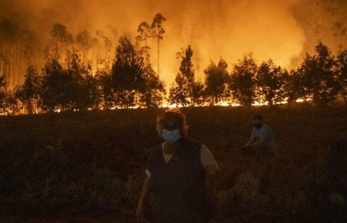 Noch immer wüten rund vierzig Waldbrände im Land