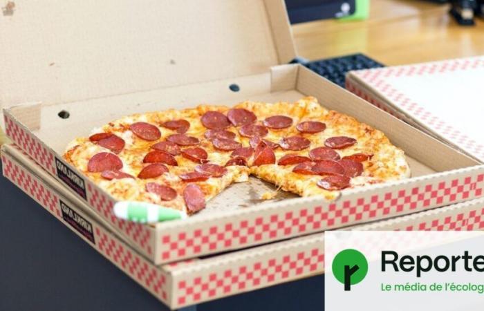 Pizzakartons, Pfannen … Unser Körper ist 3.601 Chemikalien ausgesetzt