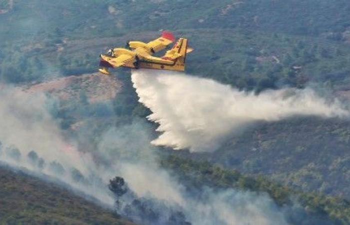 Offiziell. Drei Flugzeuge der FAR in Portugal zur Brandbekämpfung im Einsatz