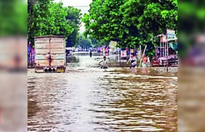 Monsun: Monsun wird wieder aufleben, ab morgen mehr Regen