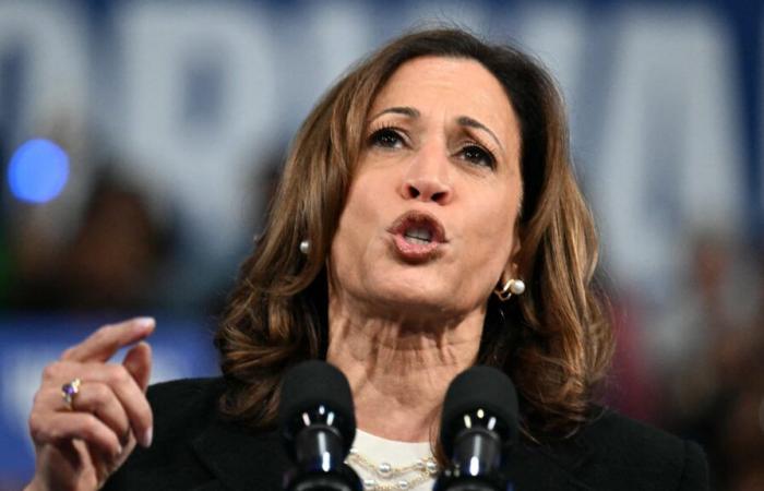 Kamala Harris beschuldigt Donald Trump, der „Architekt“ der Rücknahme des Abtreibungsrechts in den Vereinigten Staaten zu sein