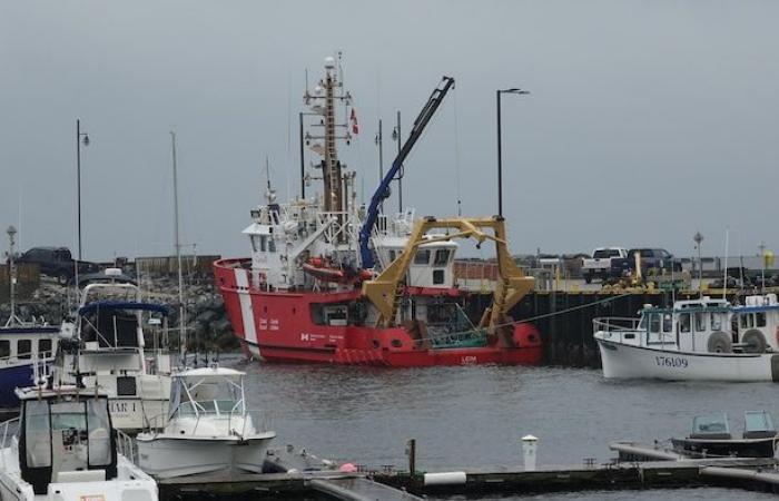 Erste unabhängige wissenschaftliche Hummermission in Gaspésie