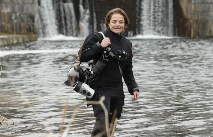 Saint-Laurent-Fluss | Eine Dekontaminationsaktion zur Entfernung von fast tausend Reifen