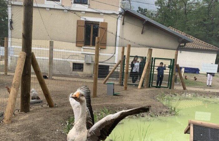 Im Val-d’Oise liegt das Glück auf der Wiese