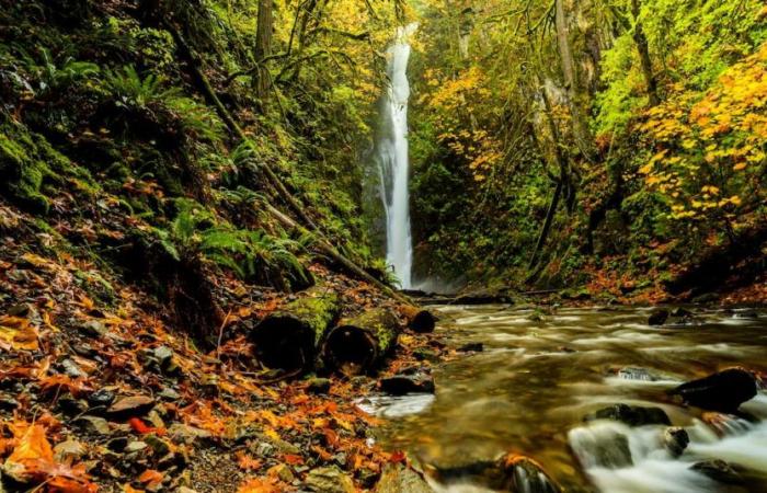 Der Goldstream Park in British Columbia hat zwei Wasserfälle