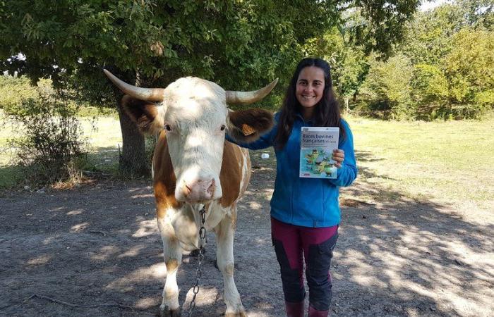 Von der Aubrac bis zum Mahorais-Zebu: Sein Buch führt durch die Welt der französischen Kühe