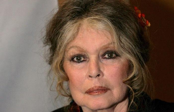 Brigitte Bardot spricht offen über das Lebensende von Alain Delon