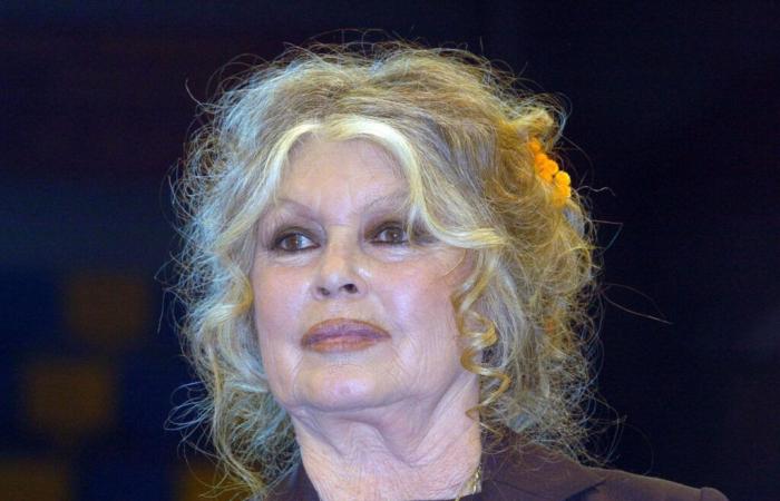 Gesundheit, Trauer… Brigitte Bardot bleibt nicht verschont