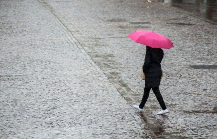 der Regen kommt, der Sommer wird im Norden und im Pas-de-Calais abrupt enden