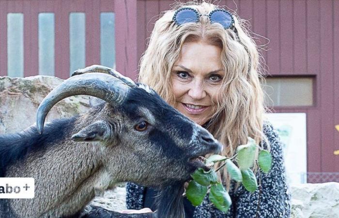 Schweizer Tierschutz kündigt Ex-Miss Lolita Morena