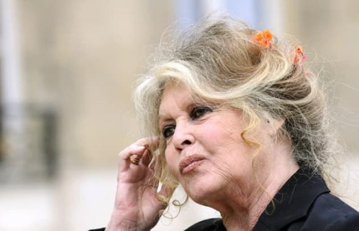 Brigitte Bardot blickt auf Alain Delons letzte Monate vor seinem Tod zurück