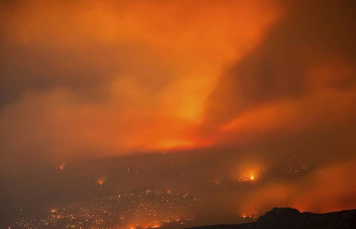 Mehr als 9.000 Hektar durch Waldbrände zerstört