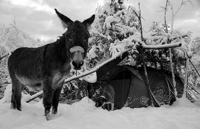 Von den Alpen bis nach Persien: Diese Fotografin zeichnet ihre fünfjährige Reise in einem Buch nach